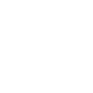 Your Vision, Our Mission.